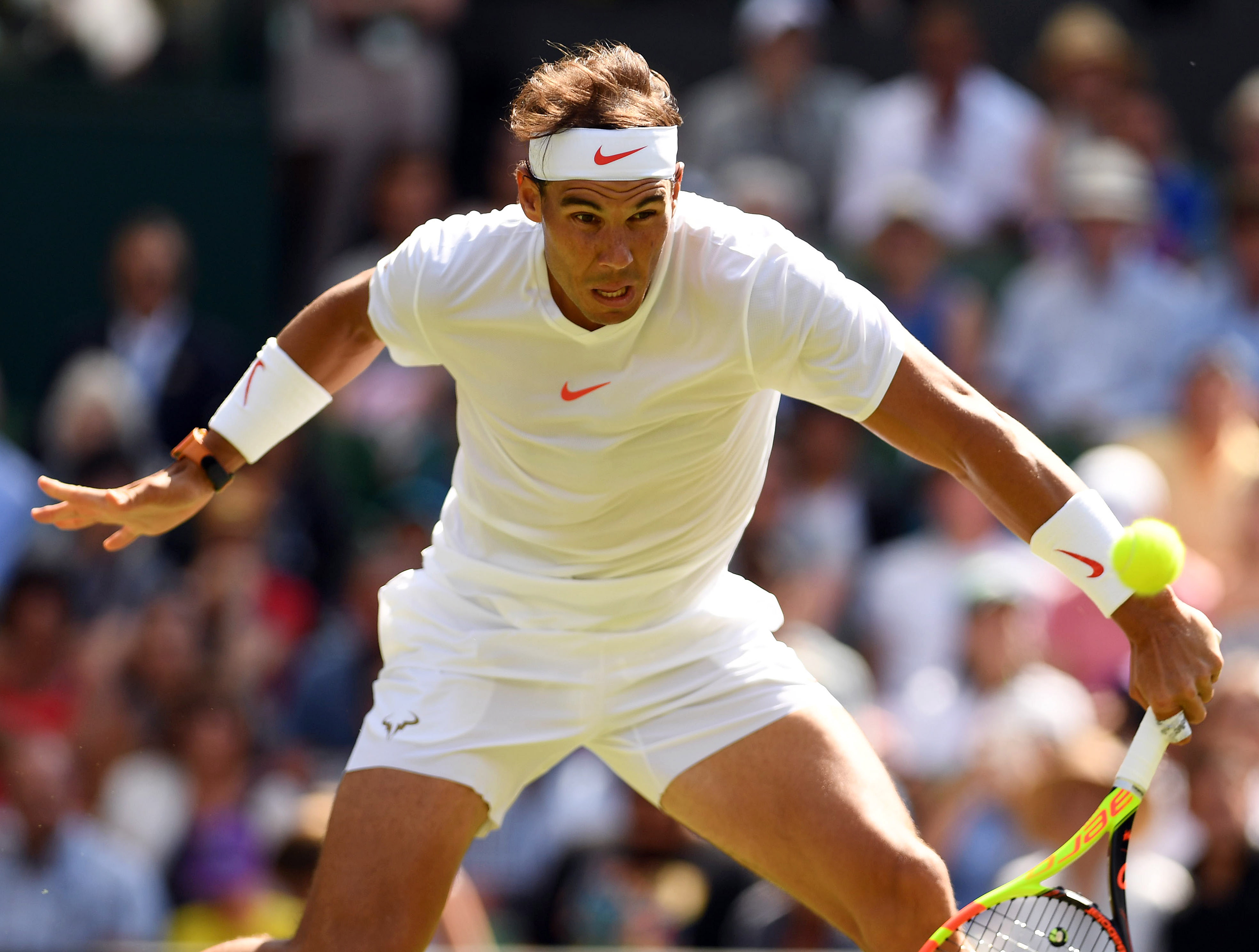 温网绝杀年终总决赛，纳达尔带队取胜